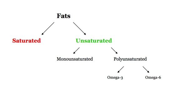 Fats diagram